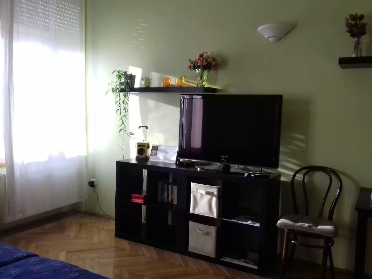 Studio Along The Danube Budapeşte Macaristan